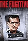 The Fugitive