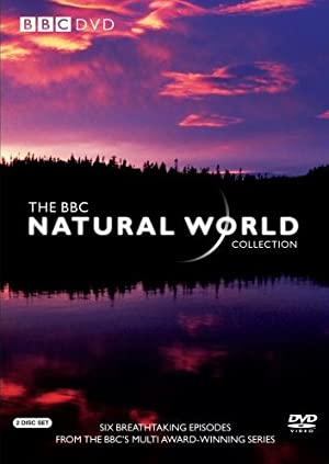The Natural World