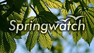 Springwatch