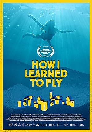 How I Learned to Fly