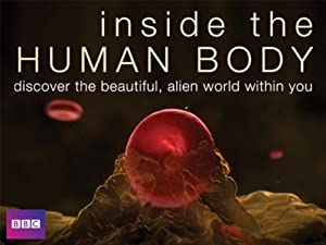 Inside the Human Body
