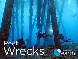 Reef Wrecks